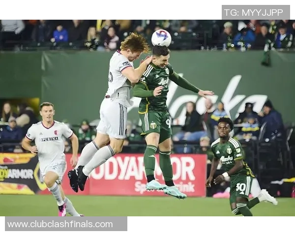 圣何塞地震与科罗拉多的自然灾害对比分析与应对策略探讨